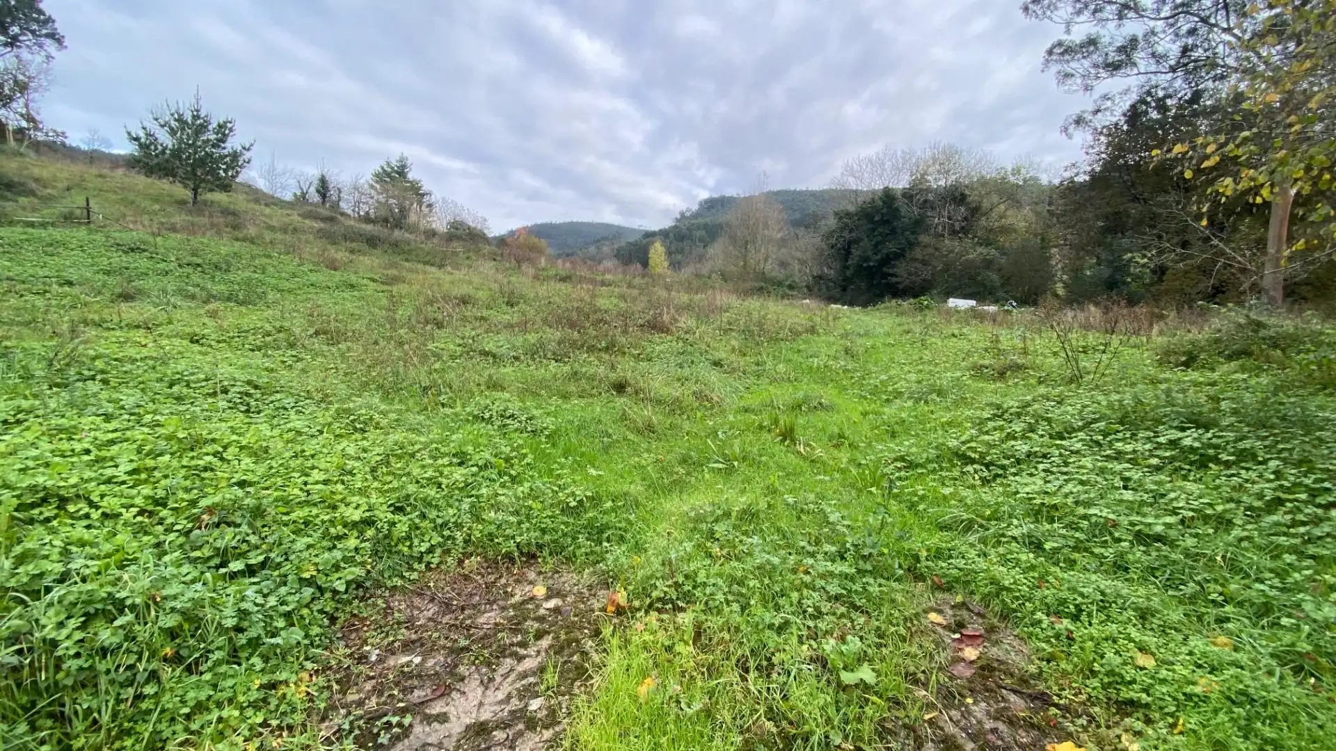 Residential for sale in Limpias