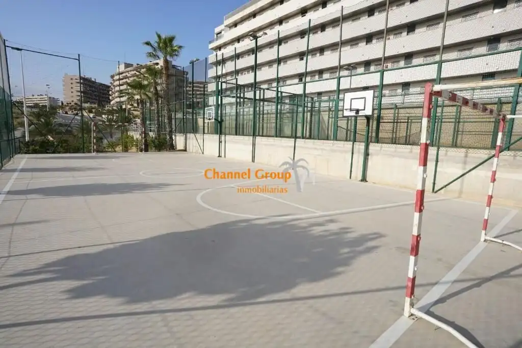 Parking of Apartments for rent in Elche / Elx  with Terrace, Storage room and Furnished
