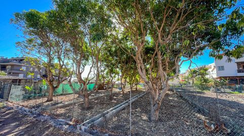 Foto 5 von Grundstücke zum Verkauf in Calle Los Medanos, -1, Valle Gran Rey, Santa Cruz de Tenerife