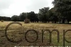 Finca rústica en venta en Cercedilla con Calefacción