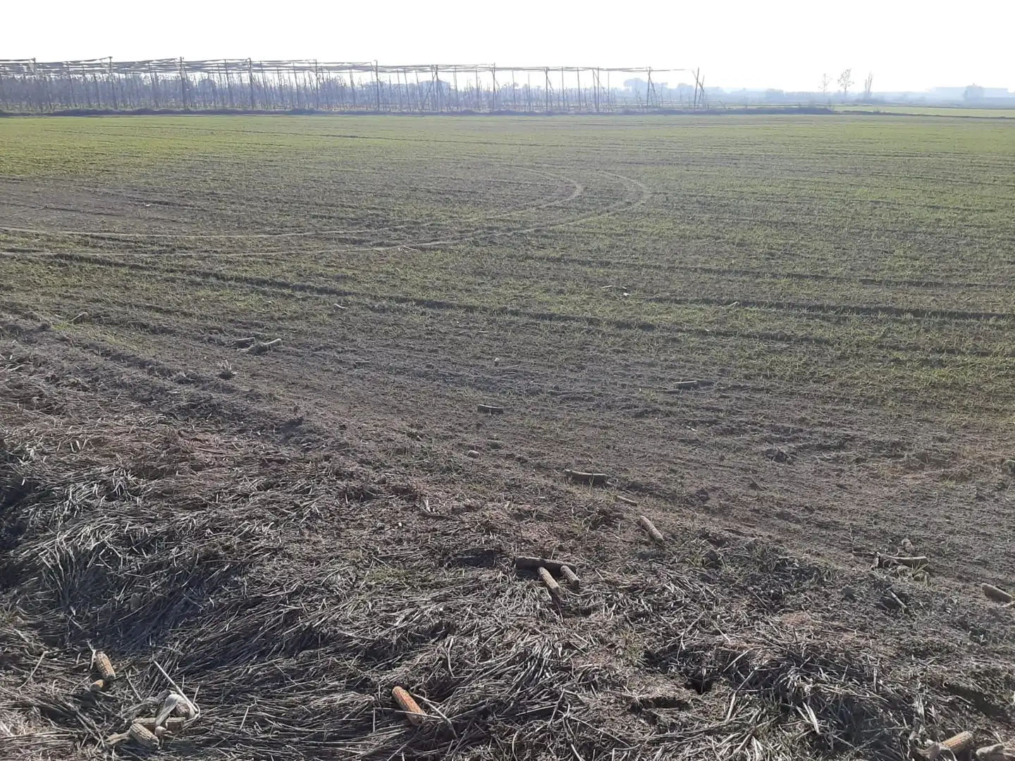 Rural land for sale in Avinguda Balaguer 1981, imagen 4