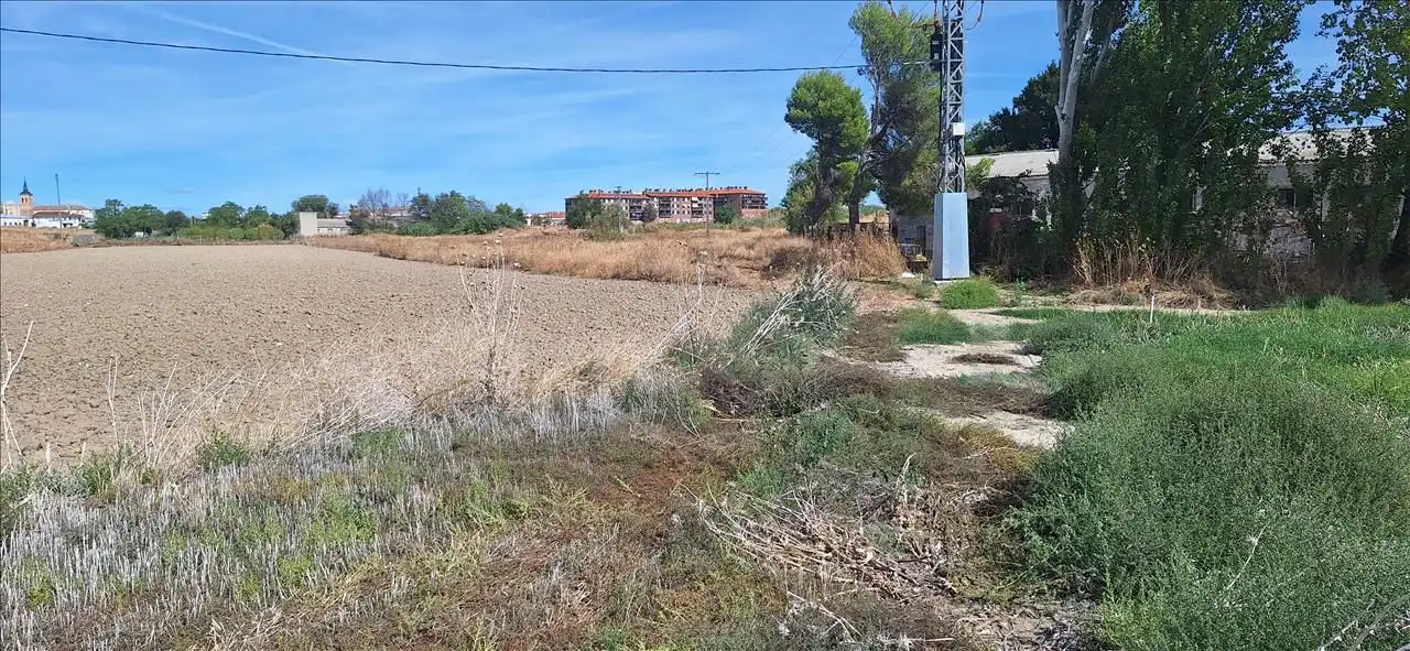 Terreny rústic en venda a Calle EL TEJAR, imagen 5