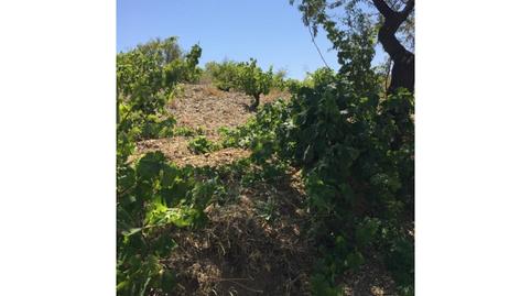 Photo 4 of House or chalet for sale in Unnamed Road, -1, Torrecilla, Murcia