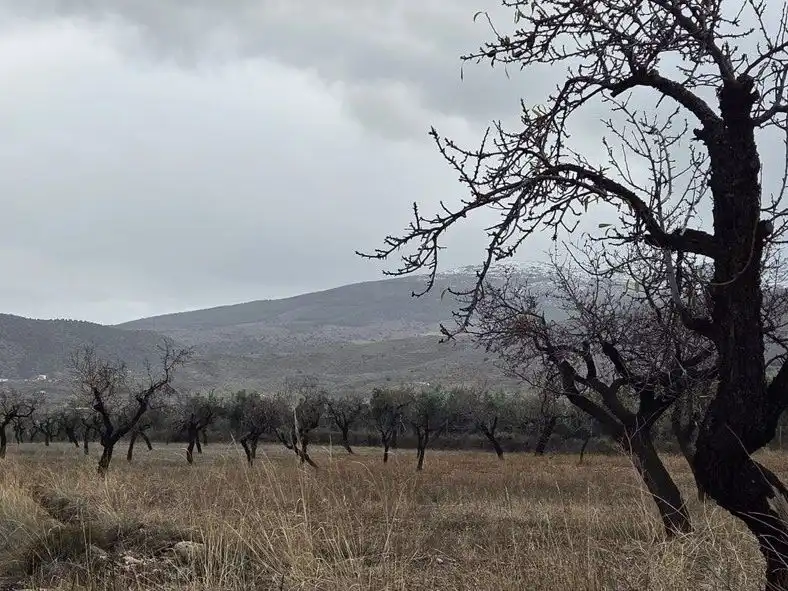 Grundstücke zum Verkauf in Abrucena