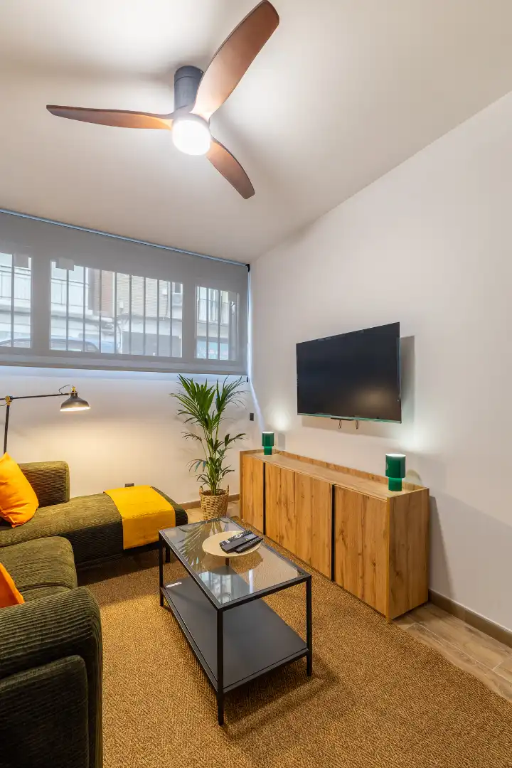 Sala d'estar de Apartament de lloguer en Madrid amb Aire condicionat, Calefacció i Moblat