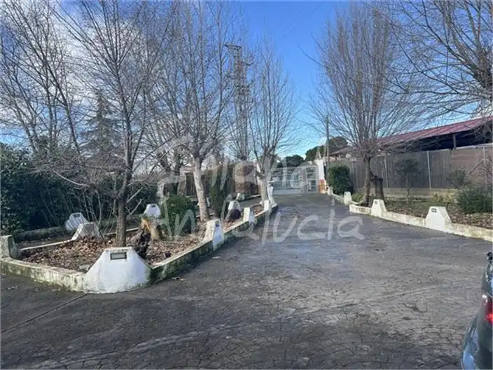 Xalet amb piscina en venda a Alcalá la Real, imagen 9