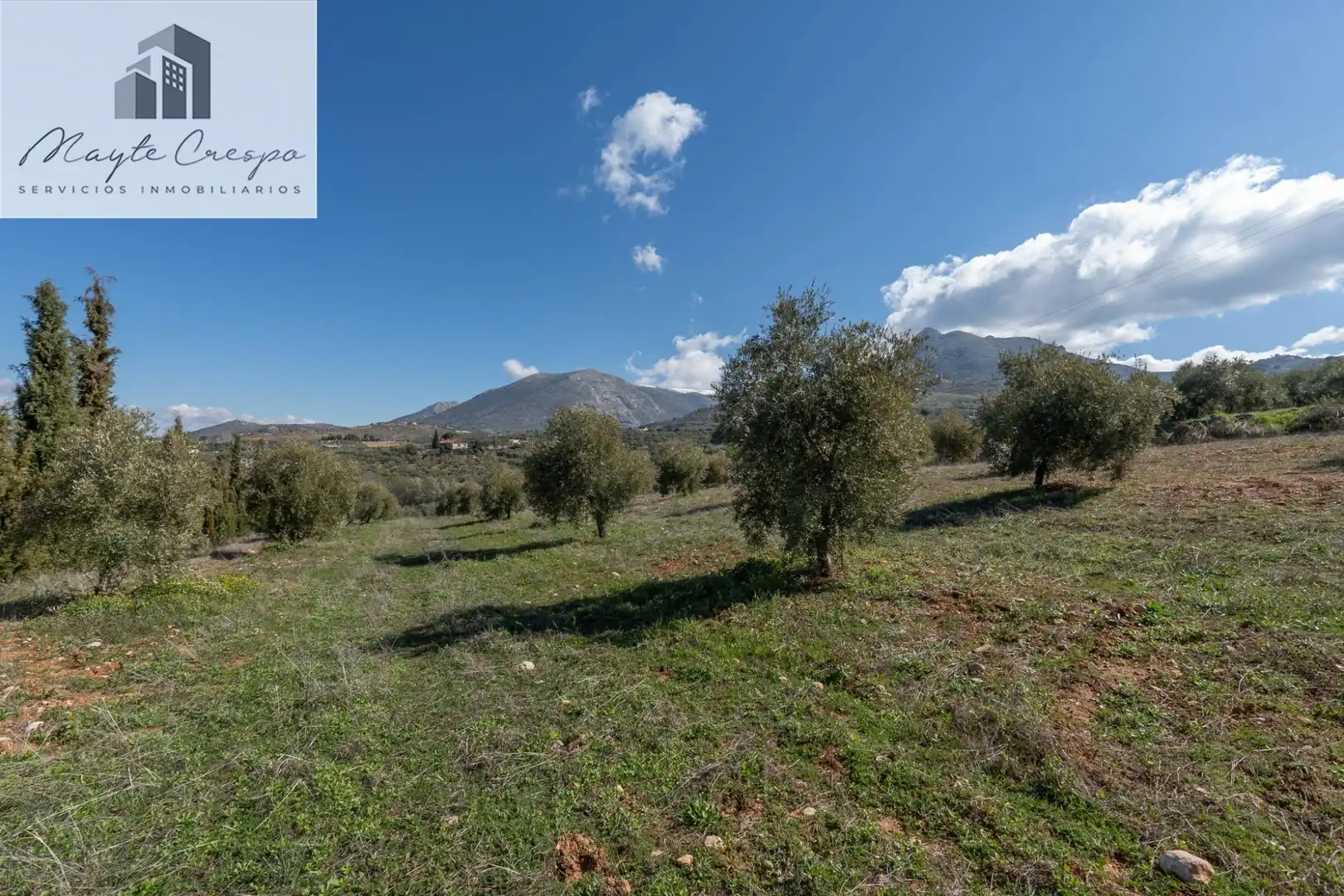 Terreni e lotti in vendita a Cogollos de la Vega