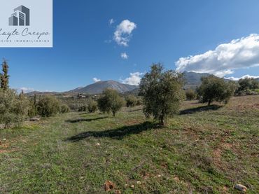 Terreno rustico in vendita a Cogollos de la Vega