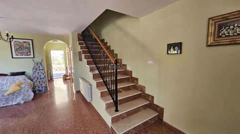 Orxeta / Caracter Partida Olivar, imatge 5