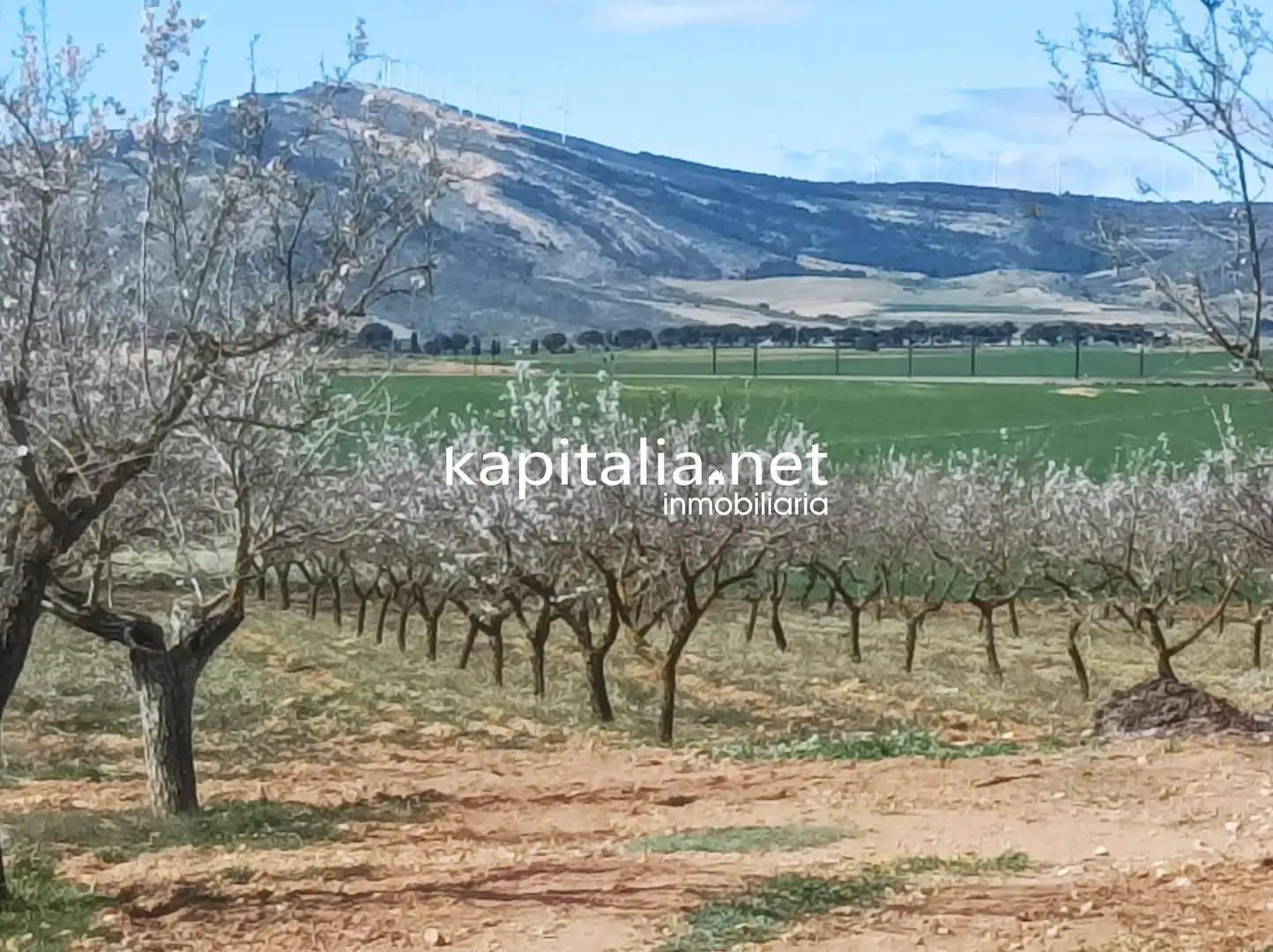 Rural land for sale in Las Cruces, imagen 3