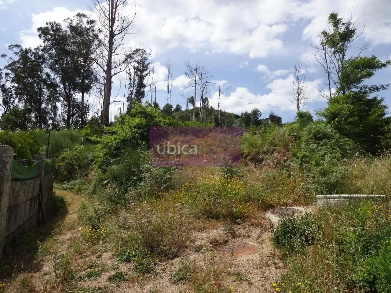 Lands and plots for sale in Salceda de Caselas, imagen 6