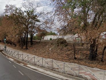 Terreno rustico in vendita a Delicias