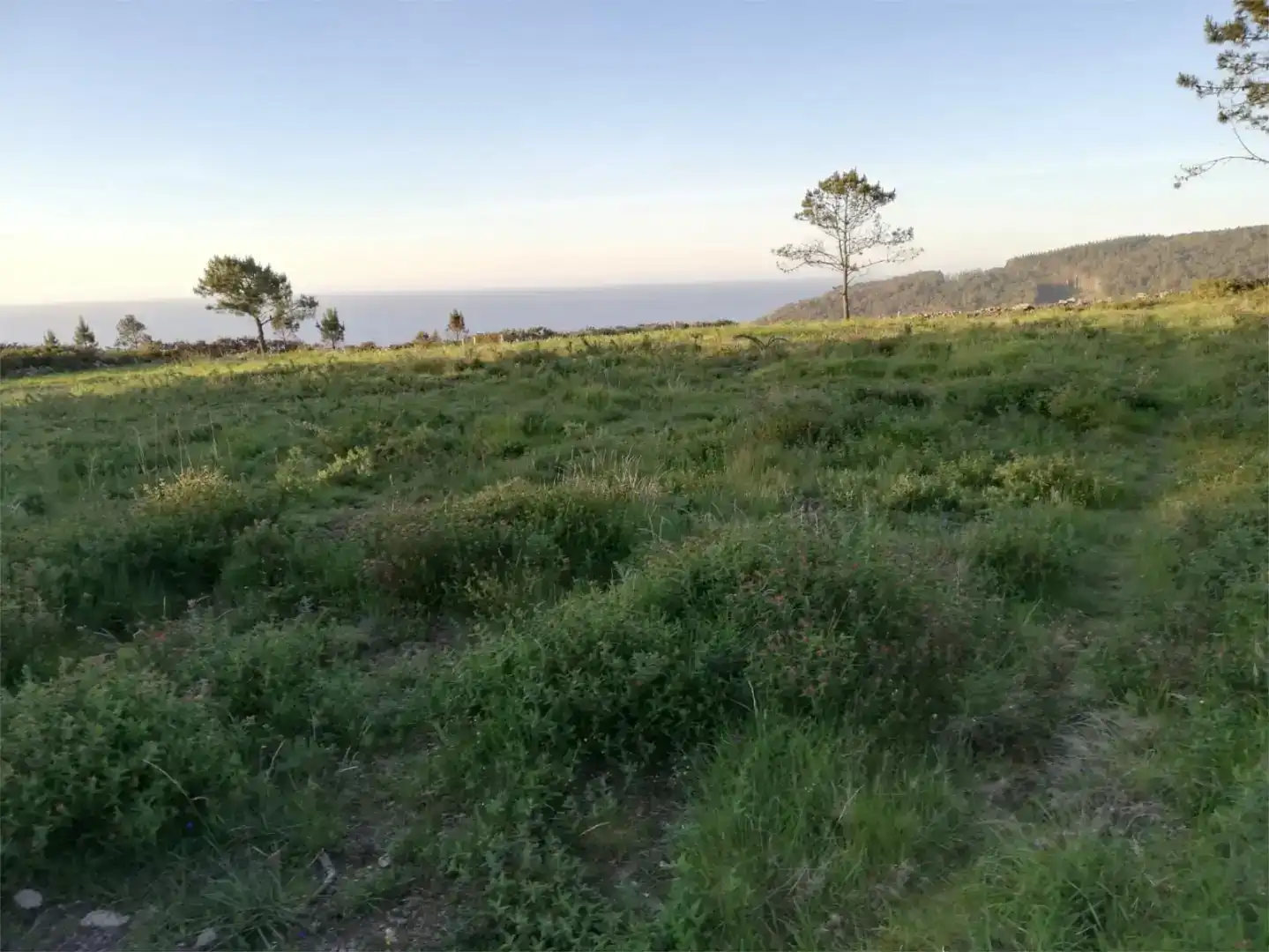 Finca rústica en venda en Tordoia