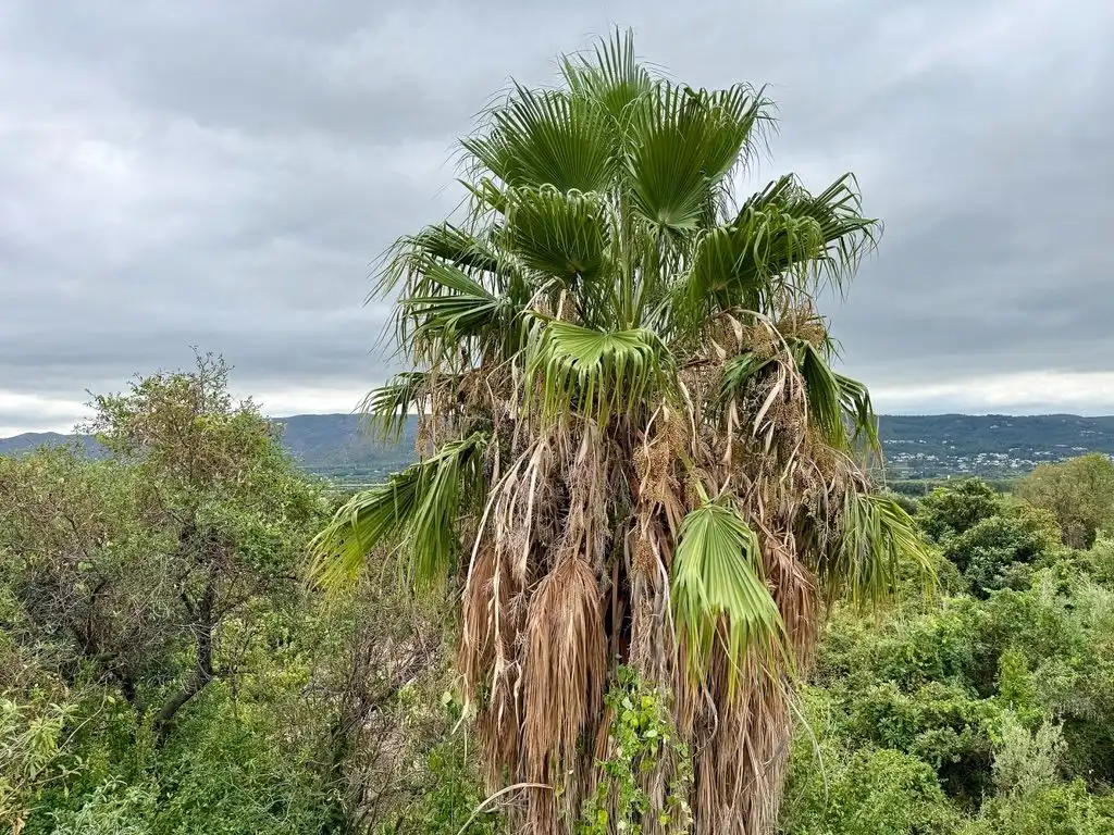 Casa rústica amb jardí en venda a Beniarbeig, imagen 25