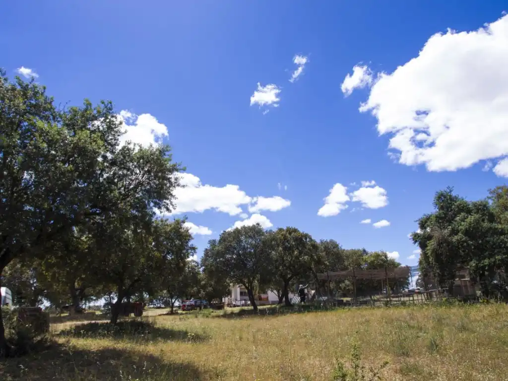 Finca rústica en venda en Navalcarnero