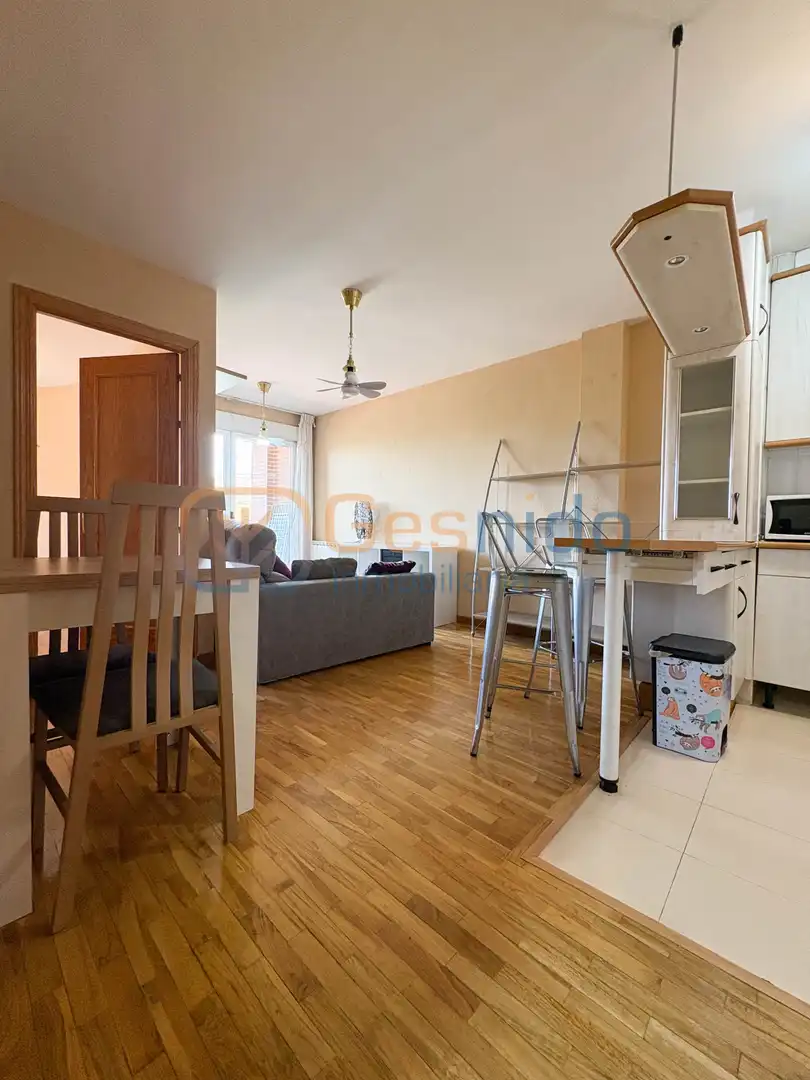 Sala de estar de Piso de alquiler en Segovia con Calefacción, Parquet y Terraza