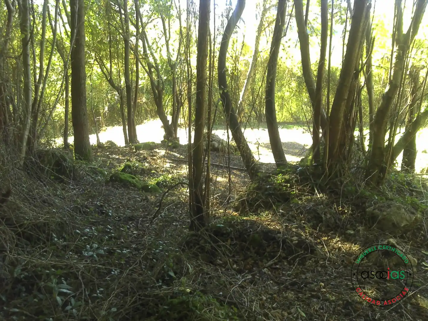 Terreno rustico in vendita a Gijón - BARRIO SAN PELAYO - CALDONES, imagen 13