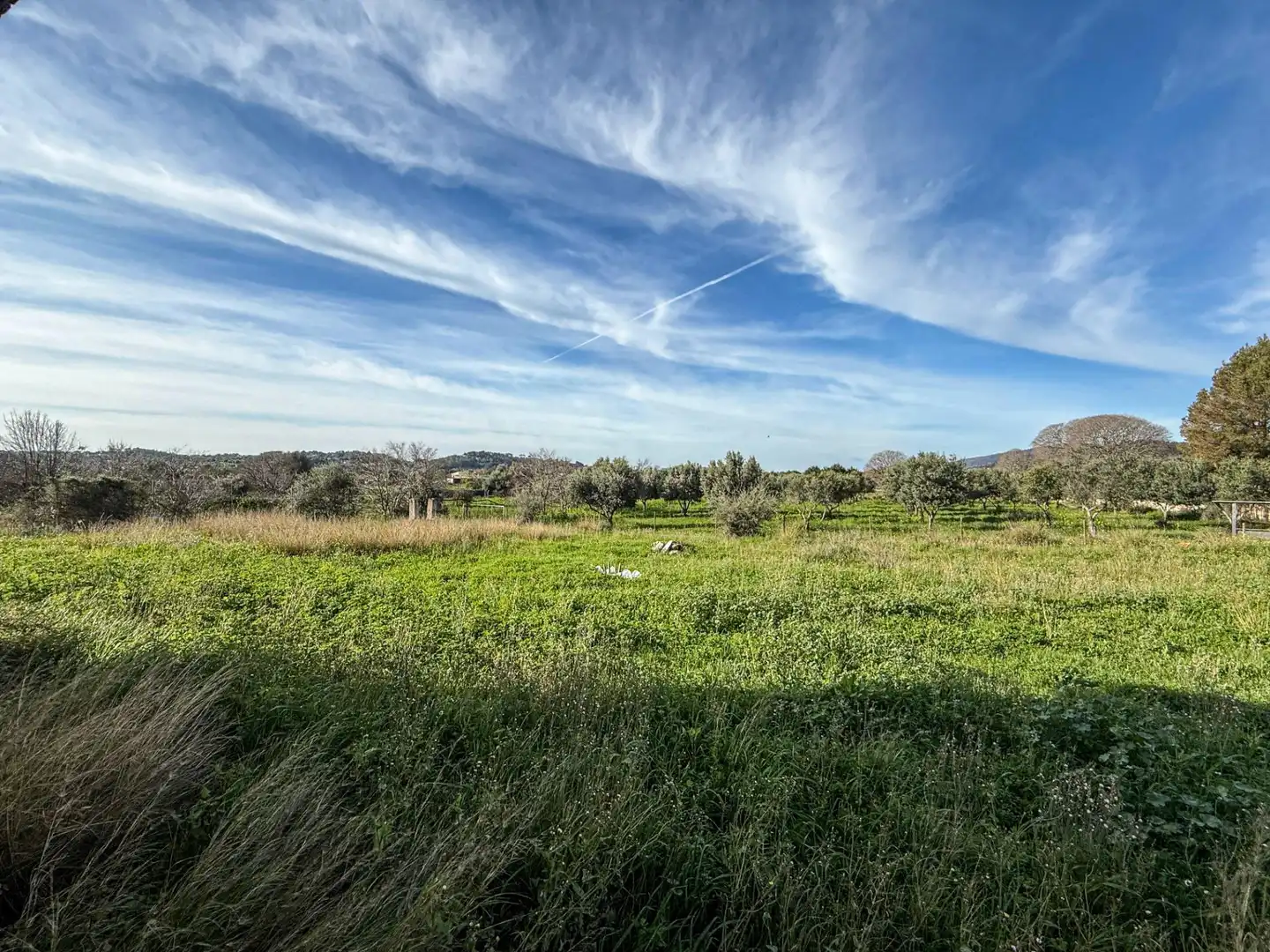 Land for sale in Diseminado Poligono 17, Selva