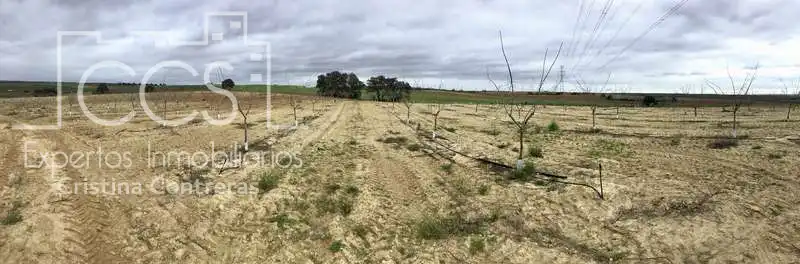 Terreno rústico en venta en Huévar del Aljarafe, imagen 18