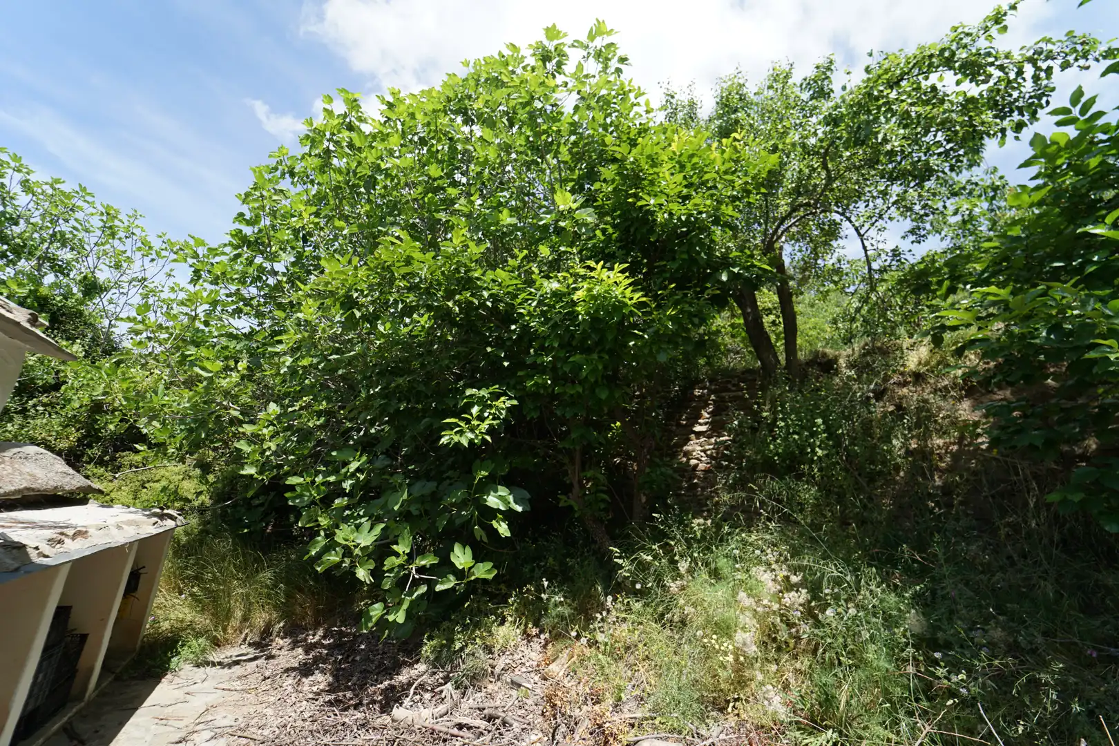 Finca rústica en venda en La Taha amb Terrassa i Moblat