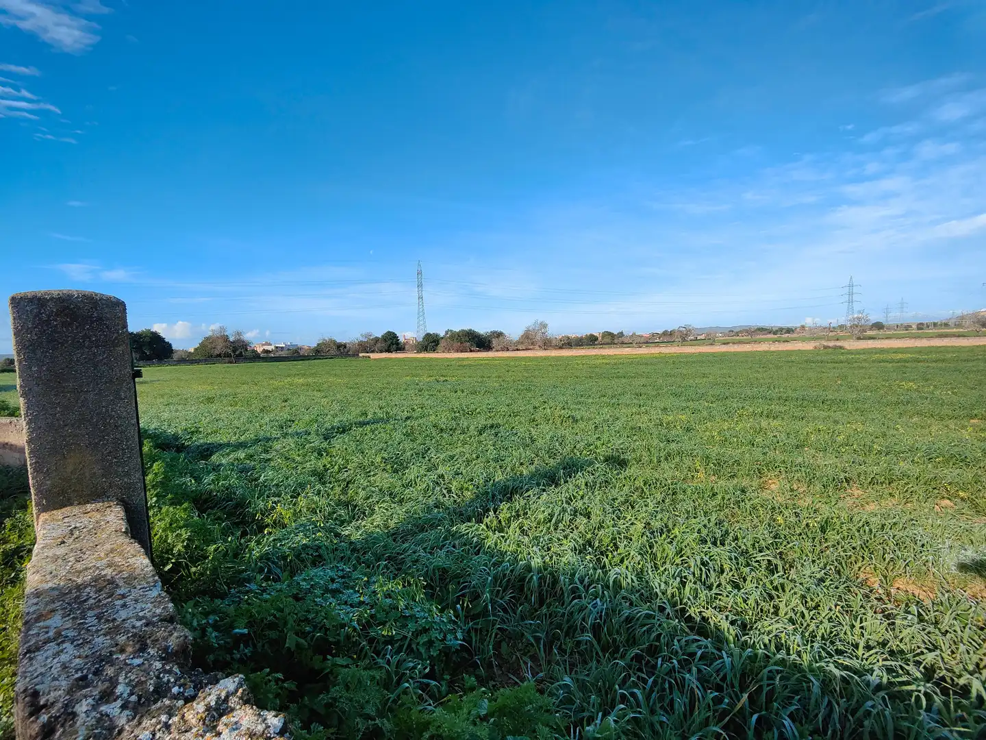 Terreno en venta en Llucmajor