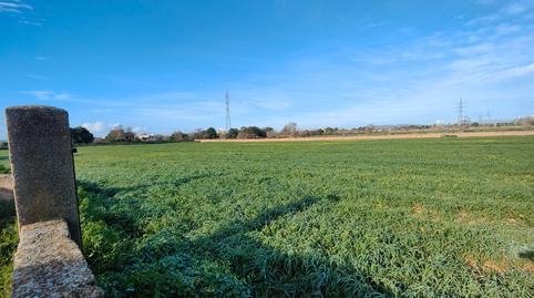 Photo 5 of Land for sale in Llucmajor pueblo, Illes Balears