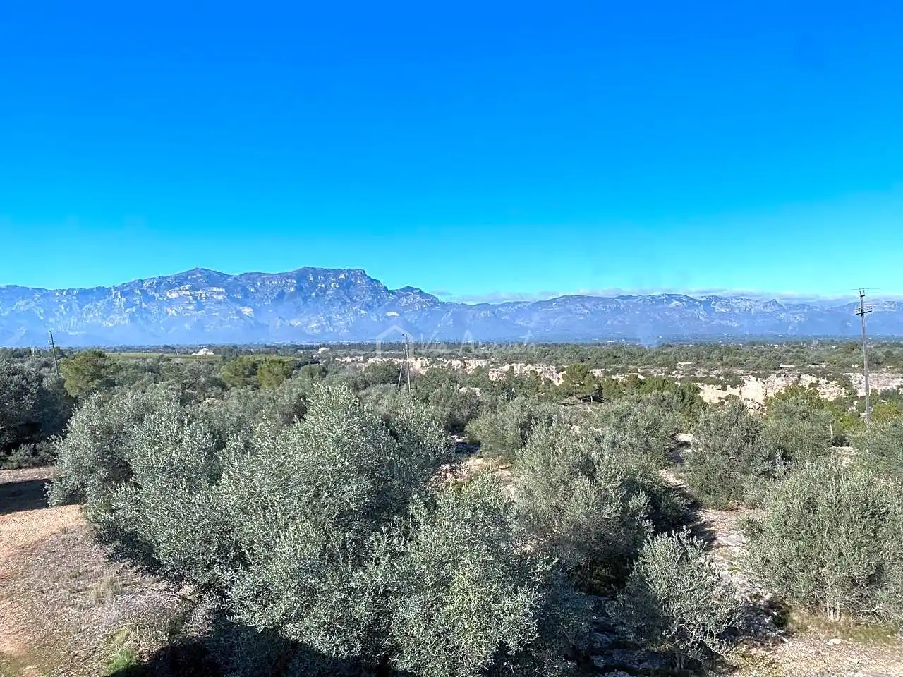 Terreno rustico in vendita a Pas de Berenguer, imagen 3