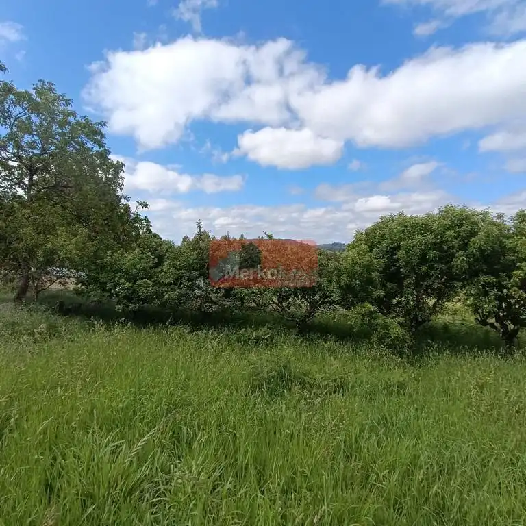 Casa o chalet en venta en Lugo con Jardín privado