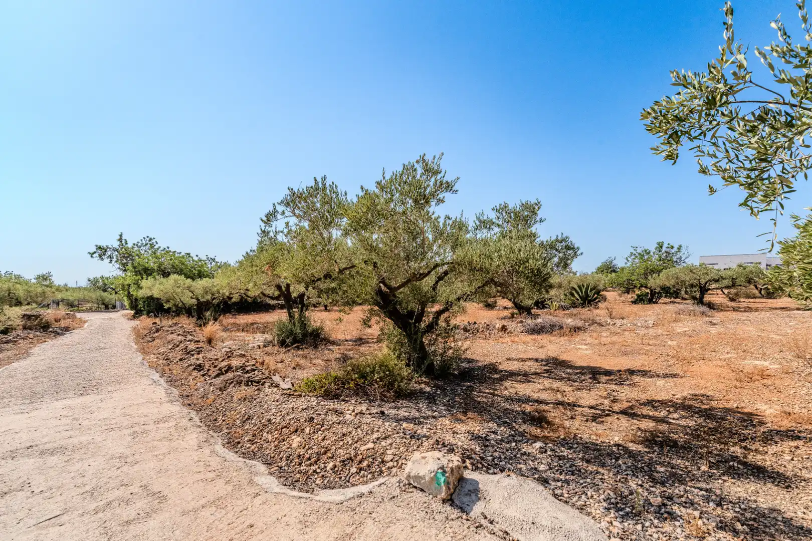 Houses for sale in L'Ampolla  with Private garden, Terrace and Storage room