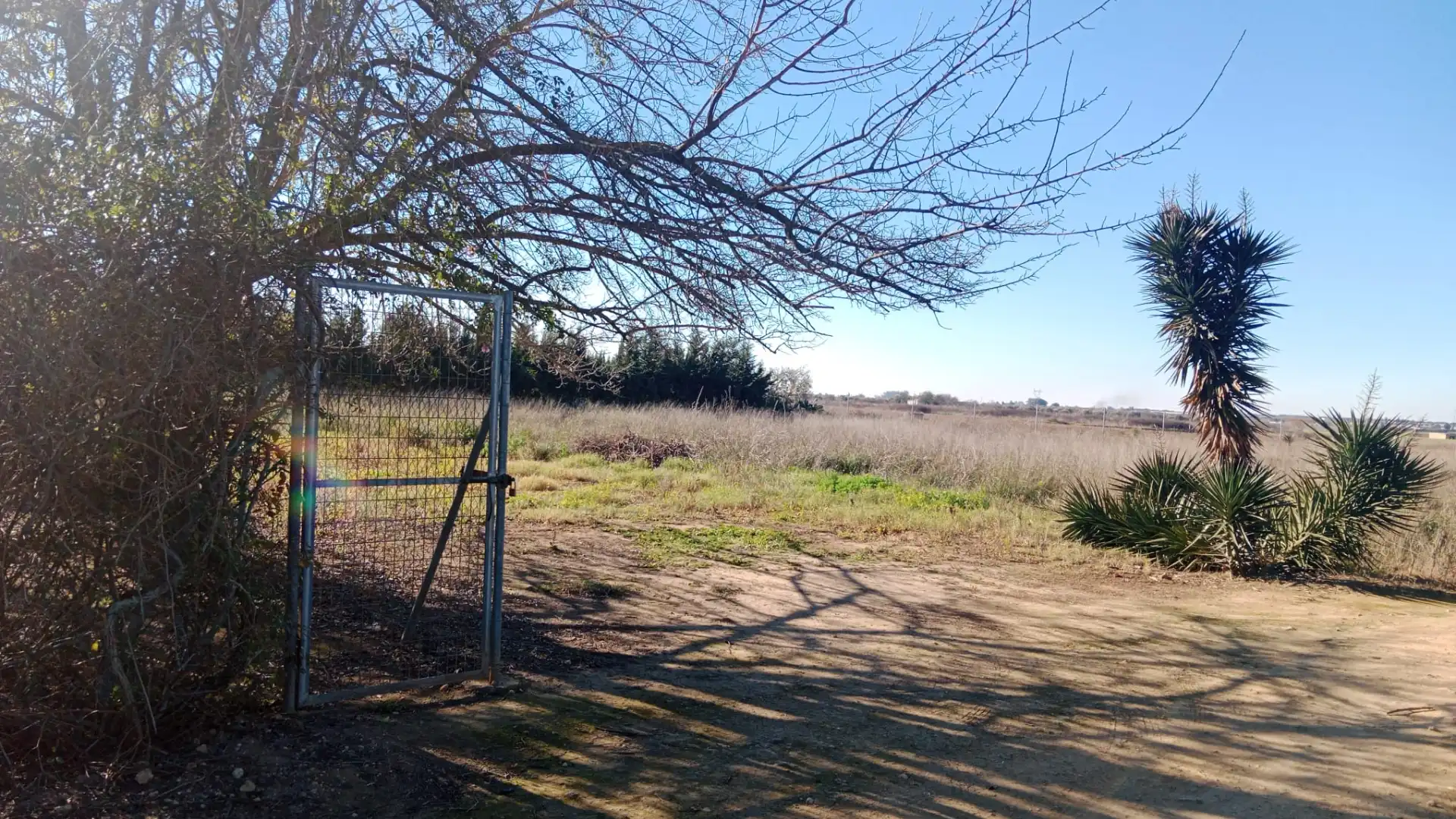 Terreno en venta en Utrera