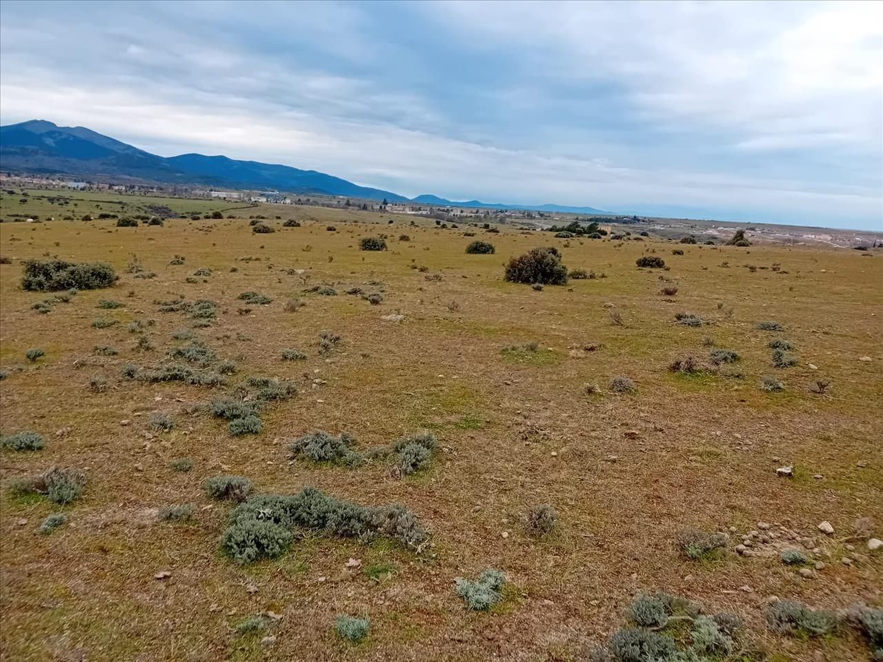 Land for sale in Moralzarzal