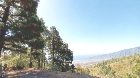 Photo 5 of House or chalet for sale in Calle Amilcar González Diaz, 5, Arafo, Santa Cruz de Tenerife