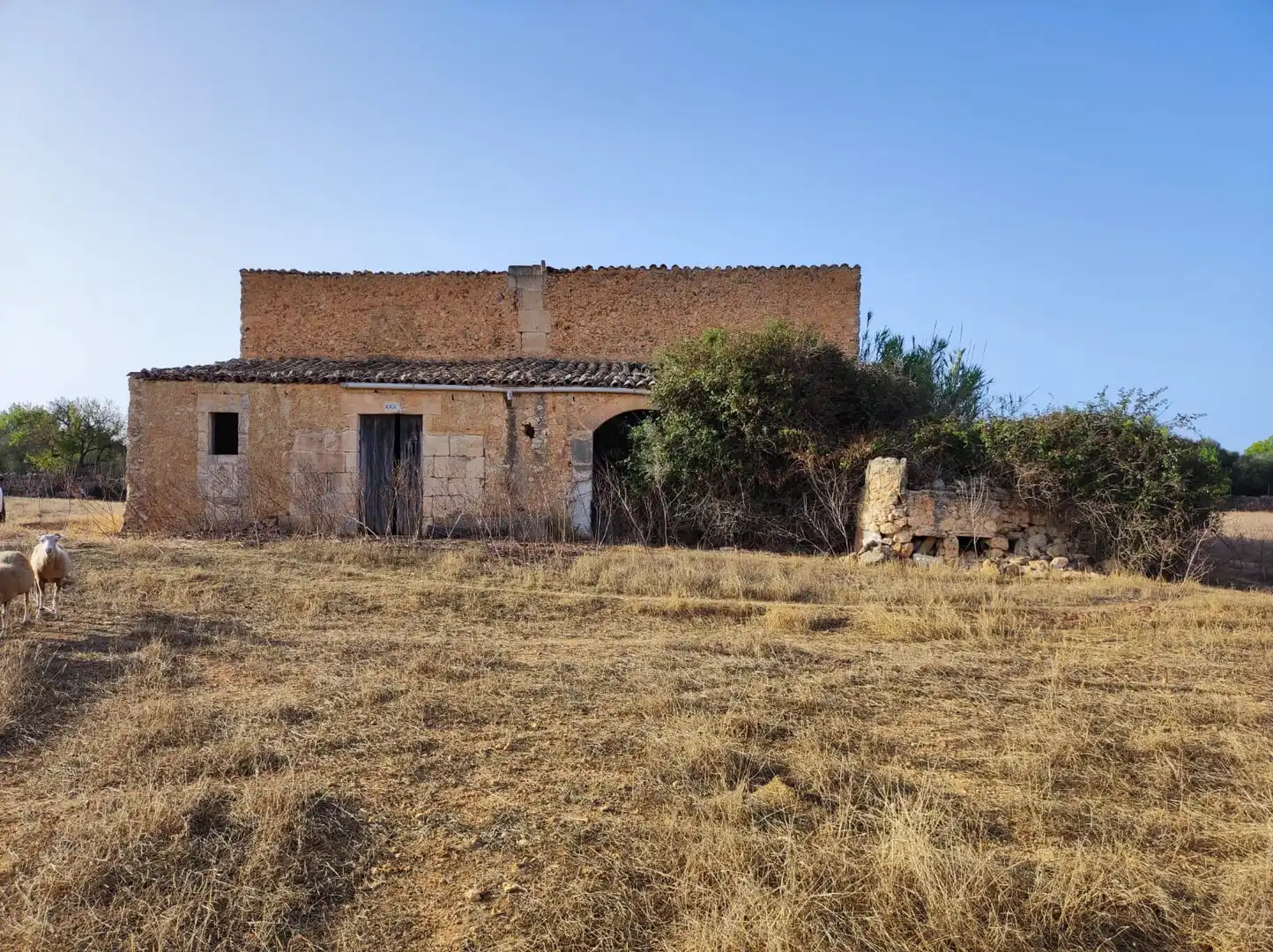 Maison rustique à vendre à Felanitx Poble