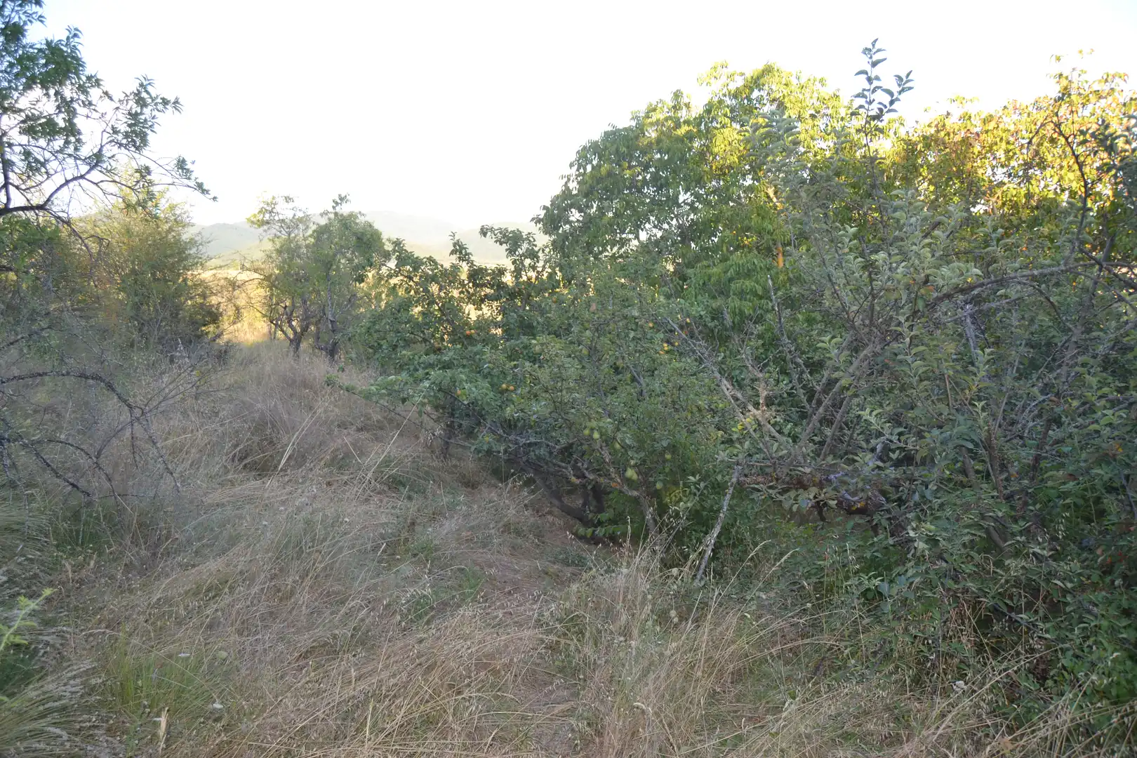 Terreni e lotti in vendita a Jasa, imagen 15