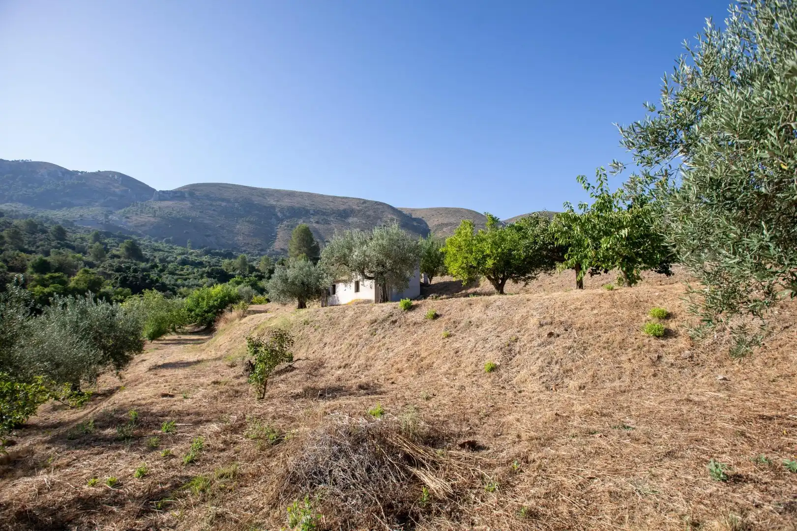 Casa o xalet en venda en Almudaina amb Moblat