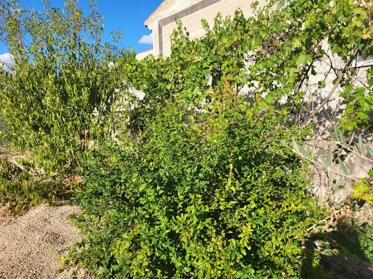 Casa o xalet en venda en Sisante amb Calefacció, Jardí privat i Terrassa