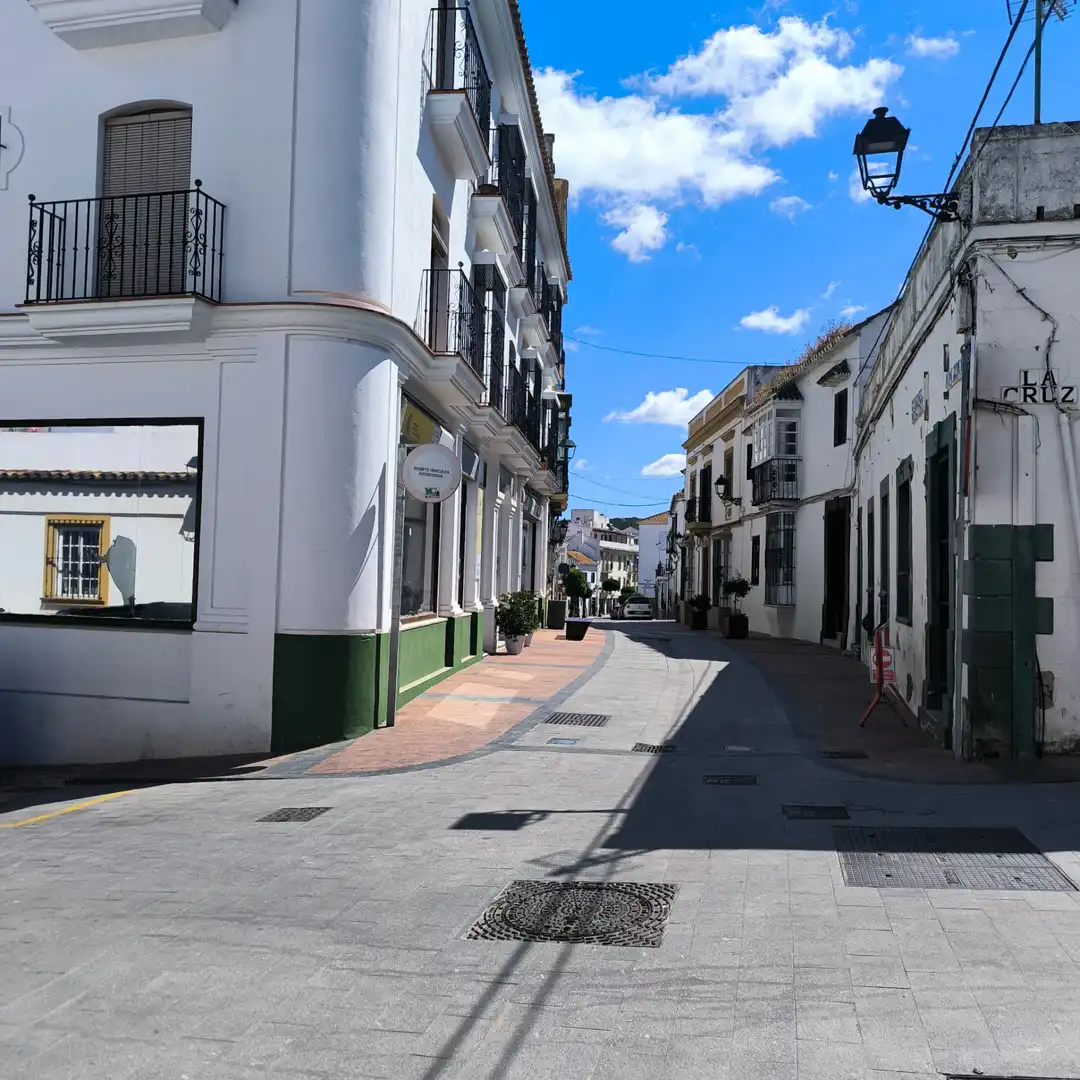 Vista exterior de Casa o chalet en venta en San Roque con Terraza