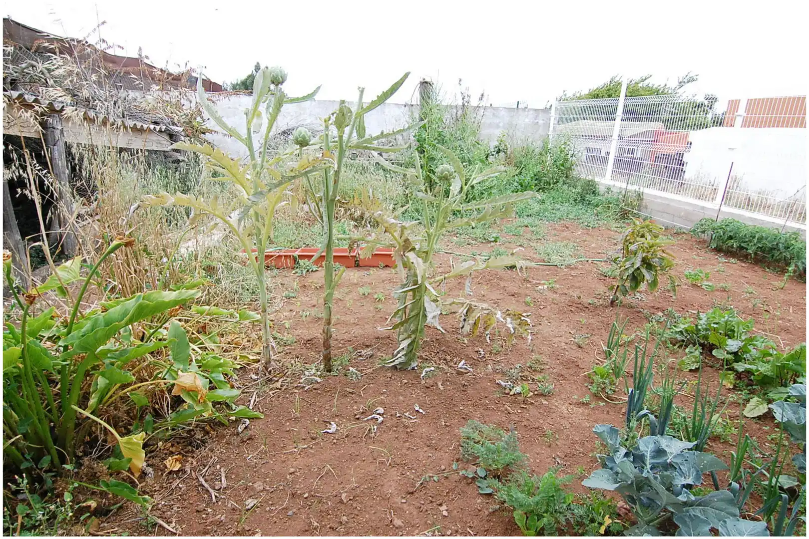 Jardí de Casa o xalet en venda en El Rosario amb Calefacció, Jardí privat i Terrassa