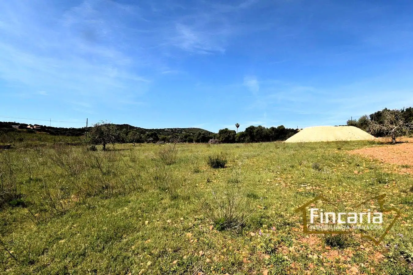 Rural land for sale in De La Torre Nova, imagen 21