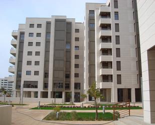 Oficina de lloguer a Nueva Almería - Cortijo Grande - Vega de Acá