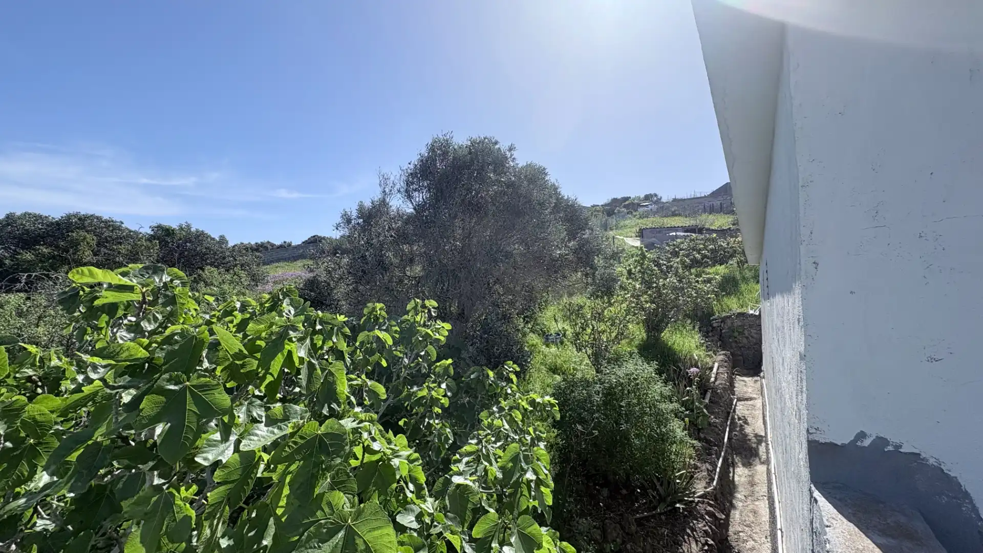Casa amb jardí en venda a Los Quintana - Piso Firme, imagen 16