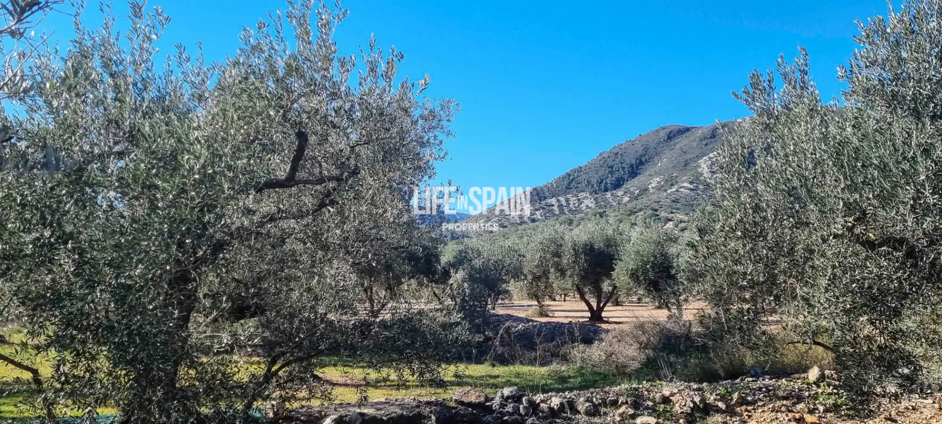 Country house for sale in Roquetes, imagen 9