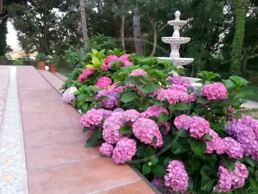 Villa con giardino in vendita a Carrer d'Aro, imagen 7