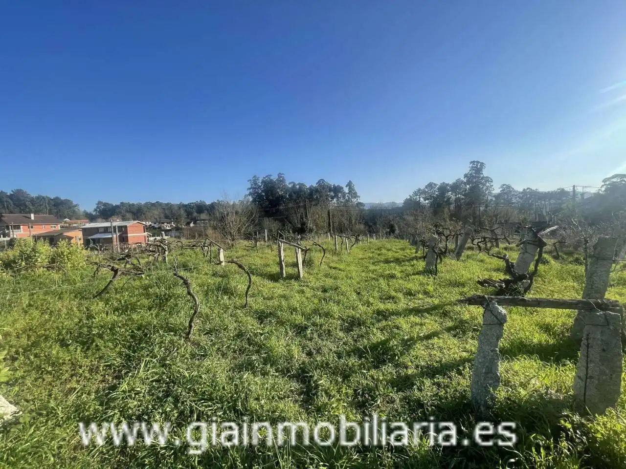 Casa con jardín en venta en Calle Xestal, imagen 37