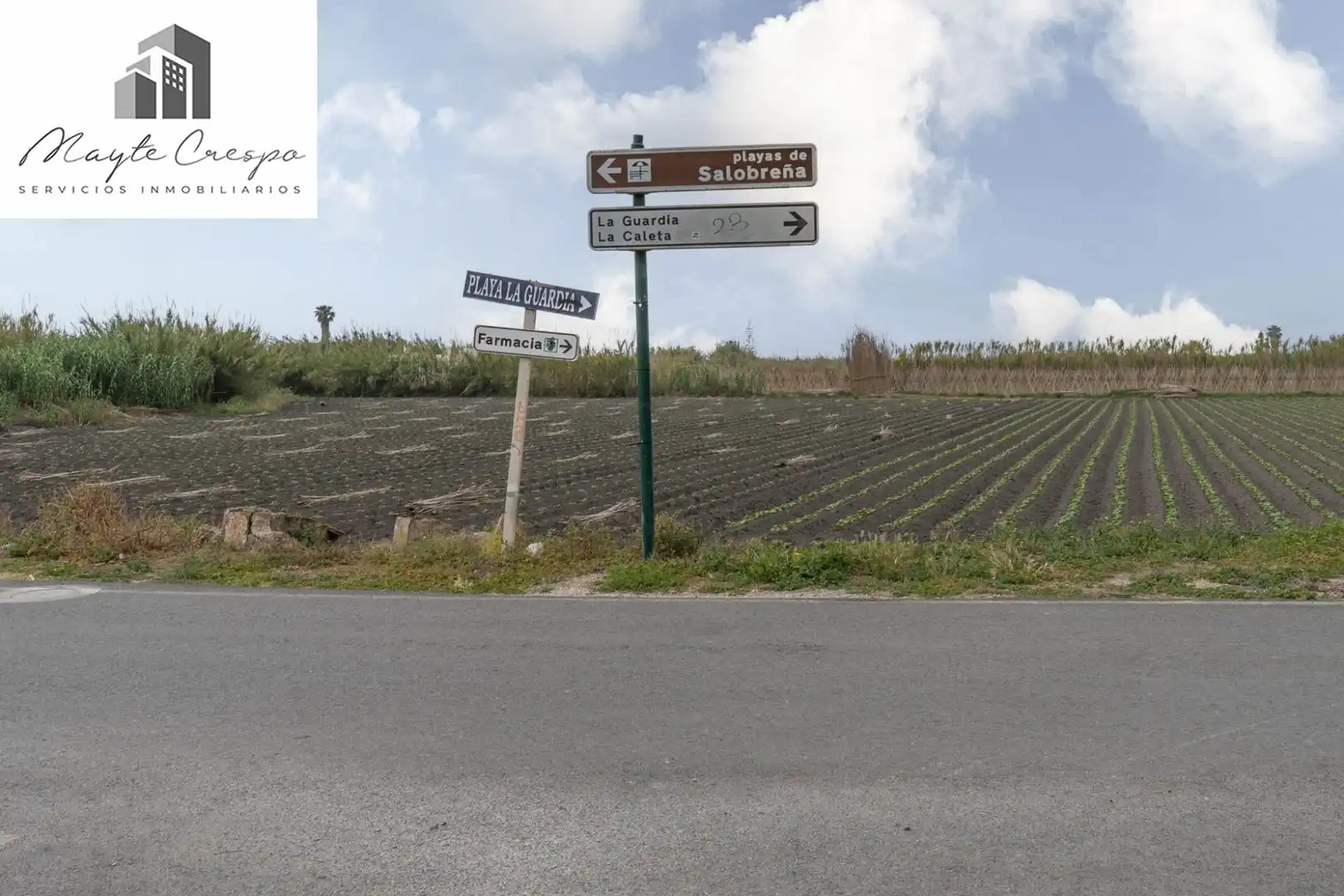 Terreni e lotti in vendita a CARRETERA MALAGA (CAL) 74, imagen 46