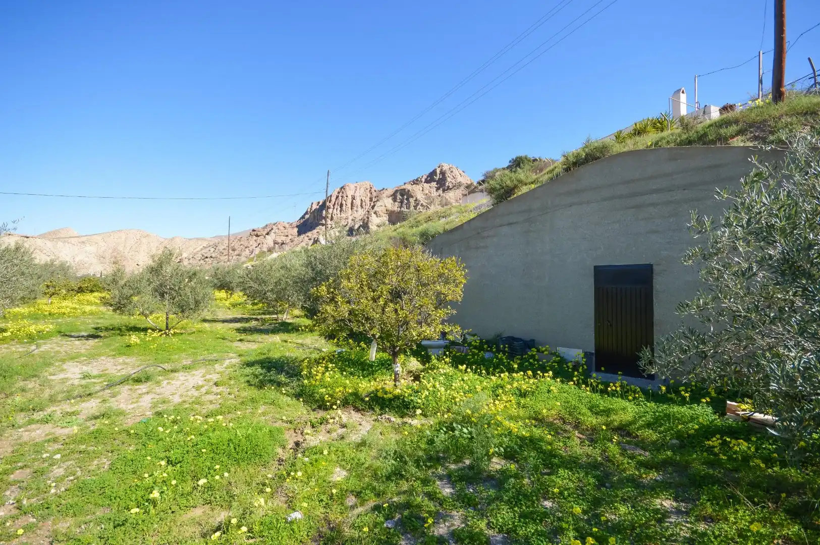 Jardín de Casa o chalet en venta en Rioja con Jardín privado, Terraza y Trastero