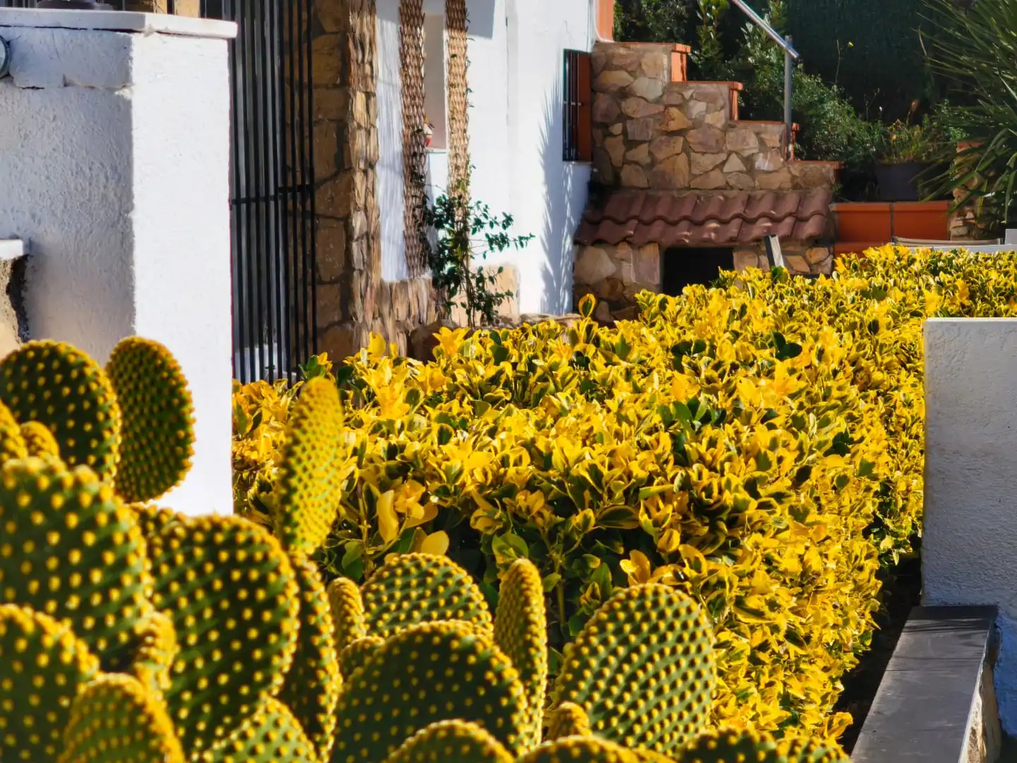 Detached house with terrace for sale in Residencial Park, imagen 8