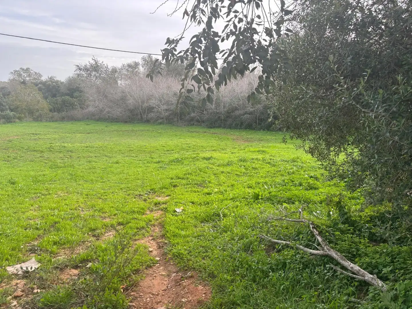 Terreno en venta en Vejer de la Frontera
