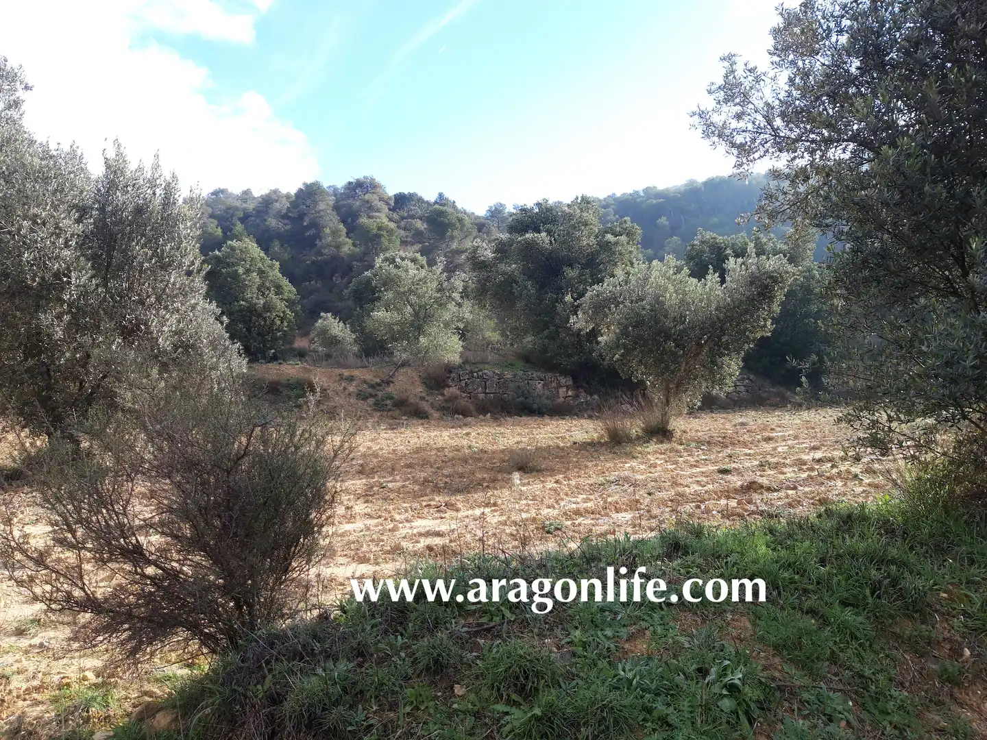 Finca rústica en venta en Batea