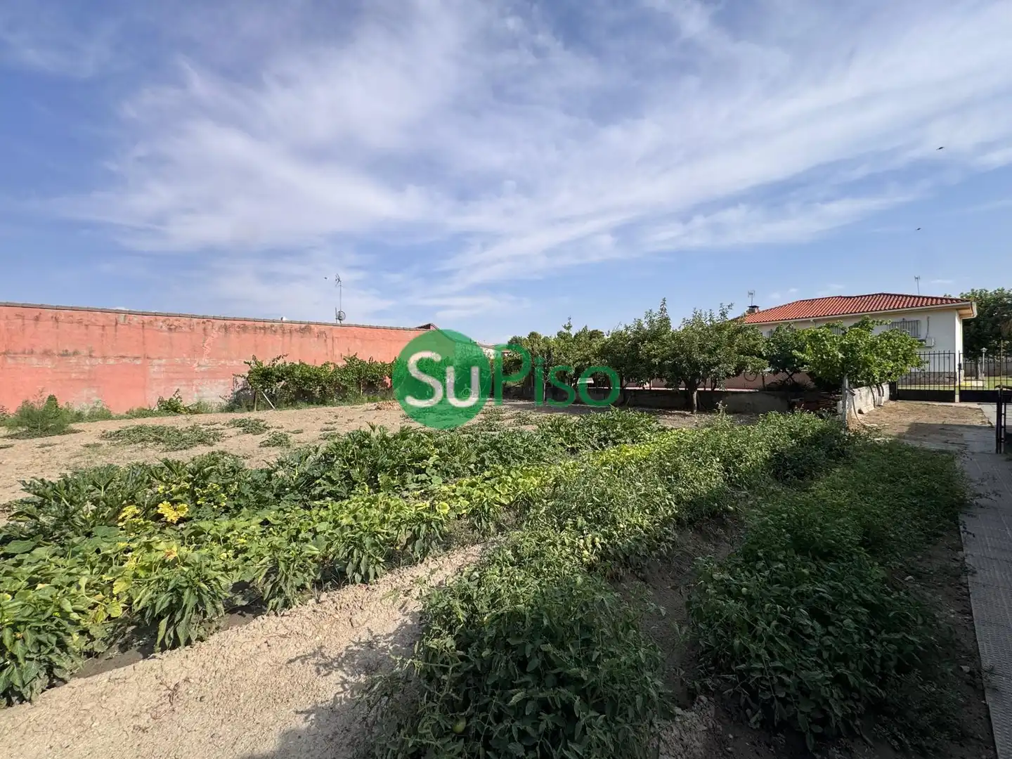Detached house with pool for sale in Calle Del Clavel 2, imagen 15
